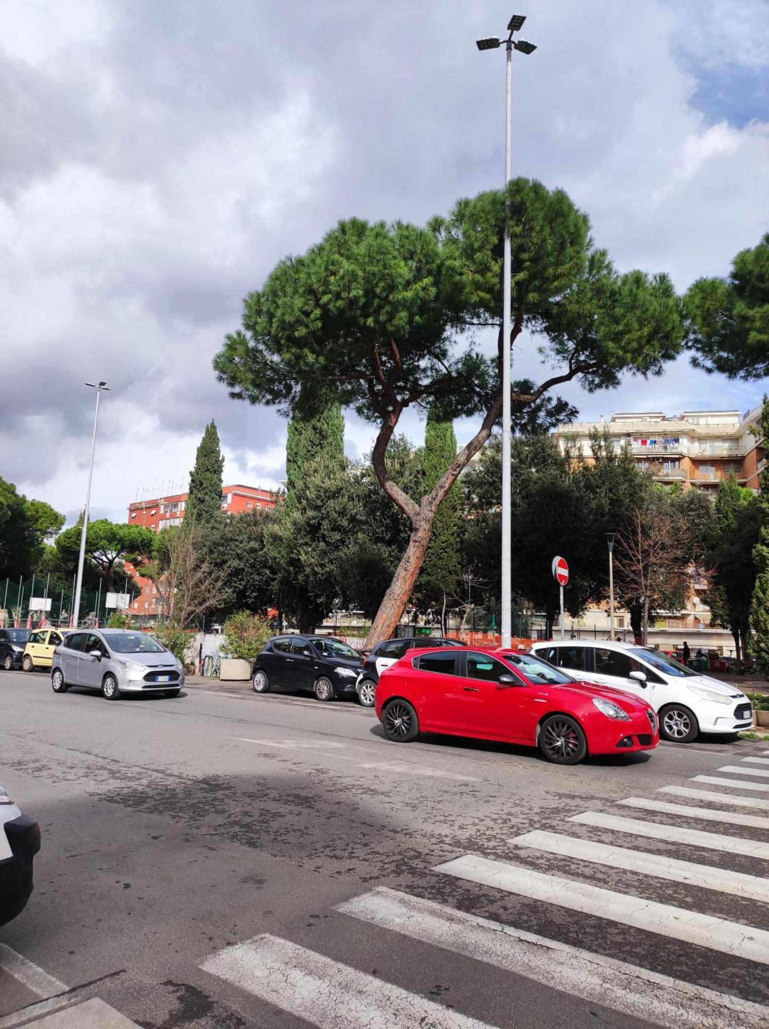 Consoli Apartment Rom